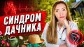 Синдром дачника: как избежать сердечного стресса на даче